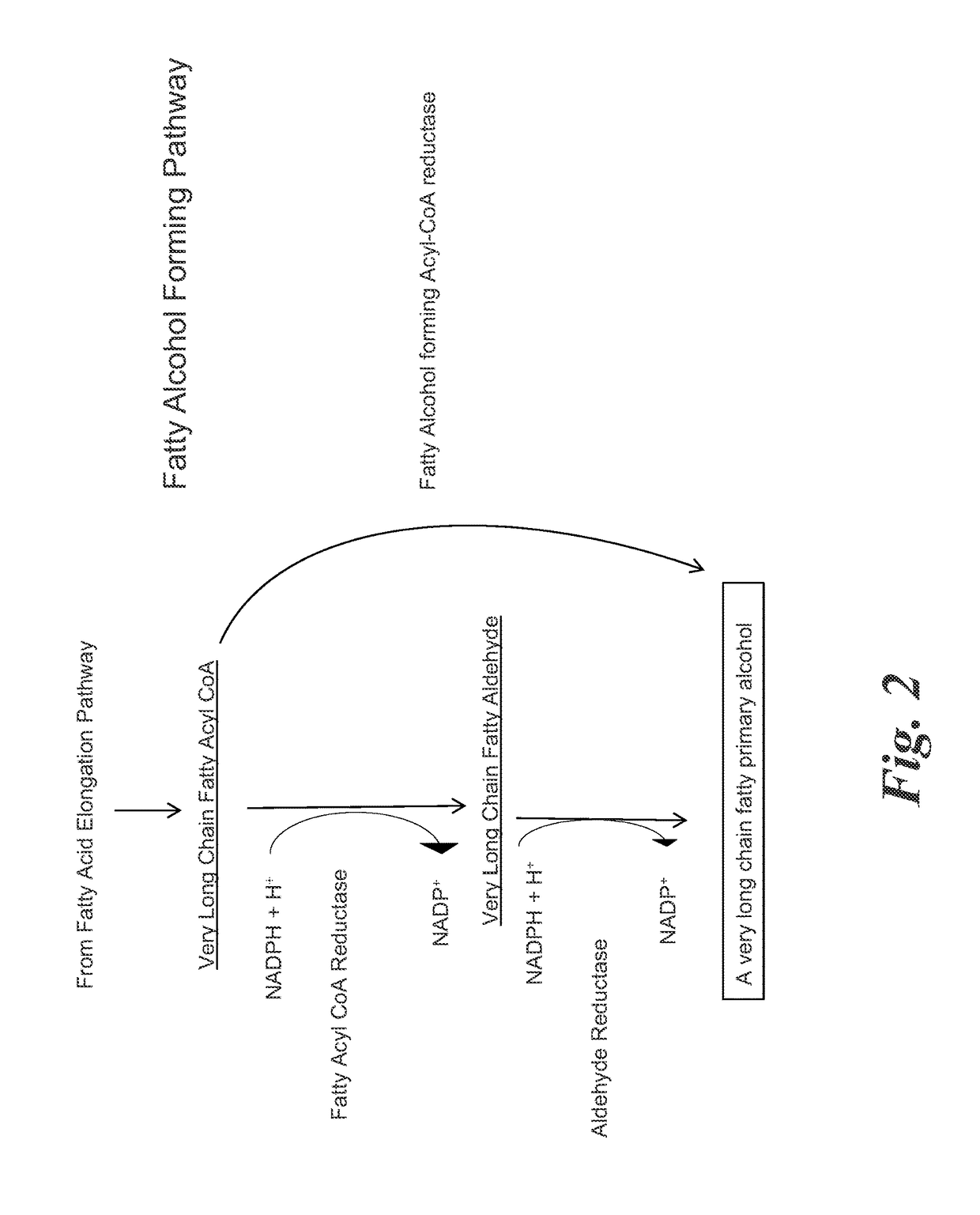 Methods for biological production of very long carbon chain compounds