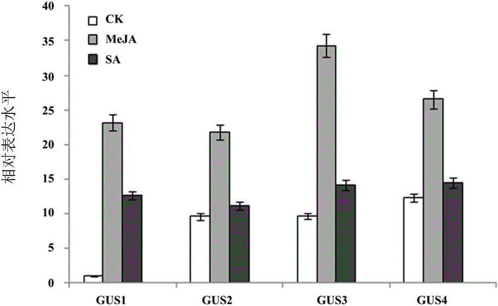 Inducible type promoter and application thereof