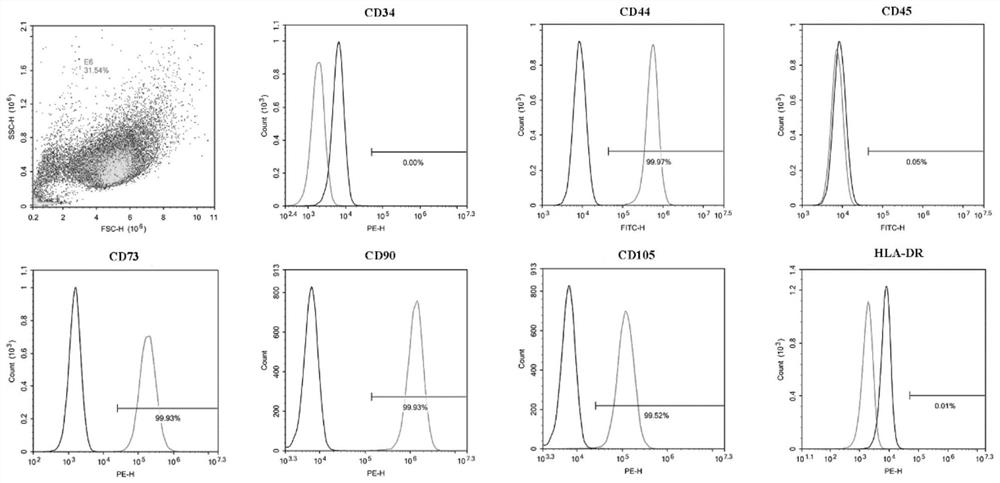 Method for enriching cord blood hematopoietic stem cells by using mesenchymal stem cells cultured in low-oxygen three-dimensional environment