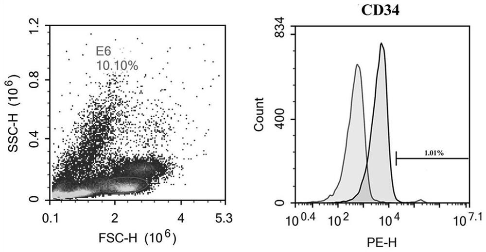 Method for enriching cord blood hematopoietic stem cells by using mesenchymal stem cells cultured in low-oxygen three-dimensional environment