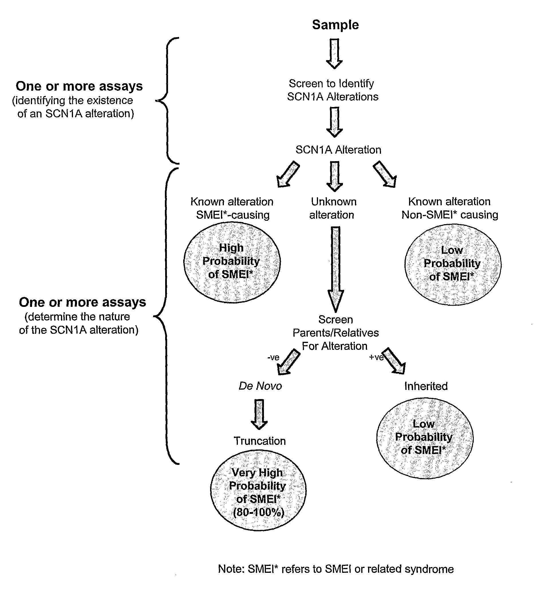 Methods of Treatment, and Diagnosis of Epilepsy by Detecting Mutations in the SCN1A Gene