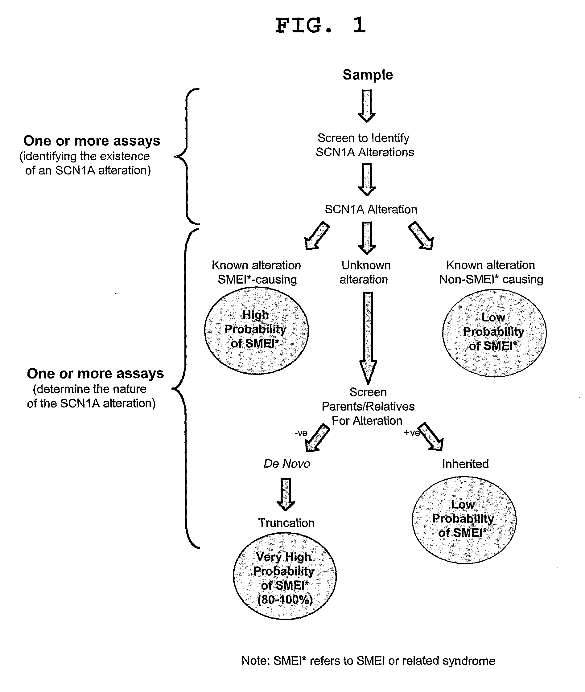 Methods of Treatment, and Diagnosis of Epilepsy by Detecting Mutations in the SCN1A Gene