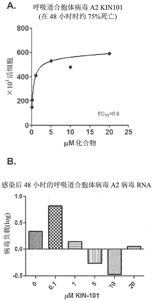 Anti-viral compounds, pharmaceutical compositions, and methods of use thereof