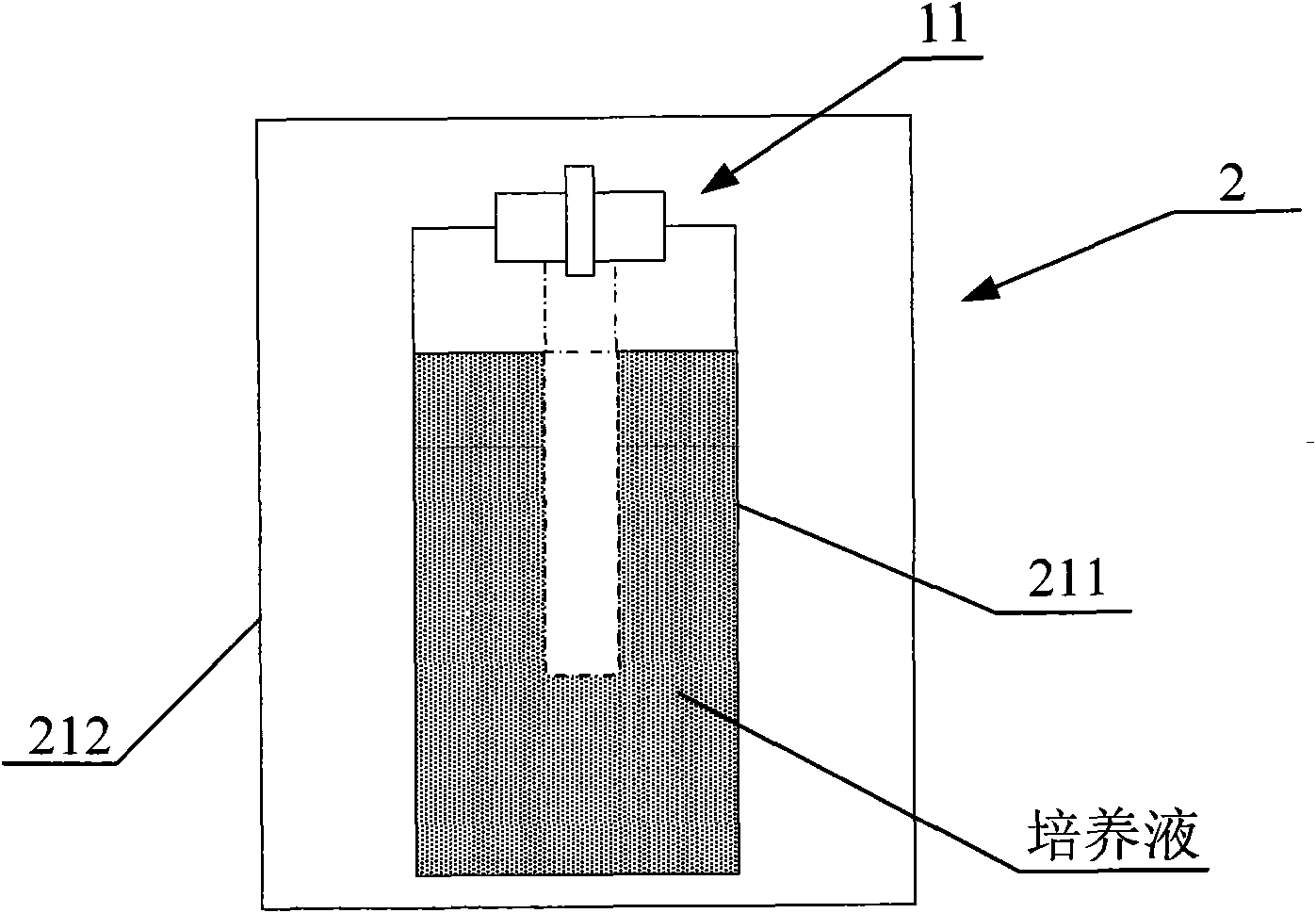 Bacterium detection method and device