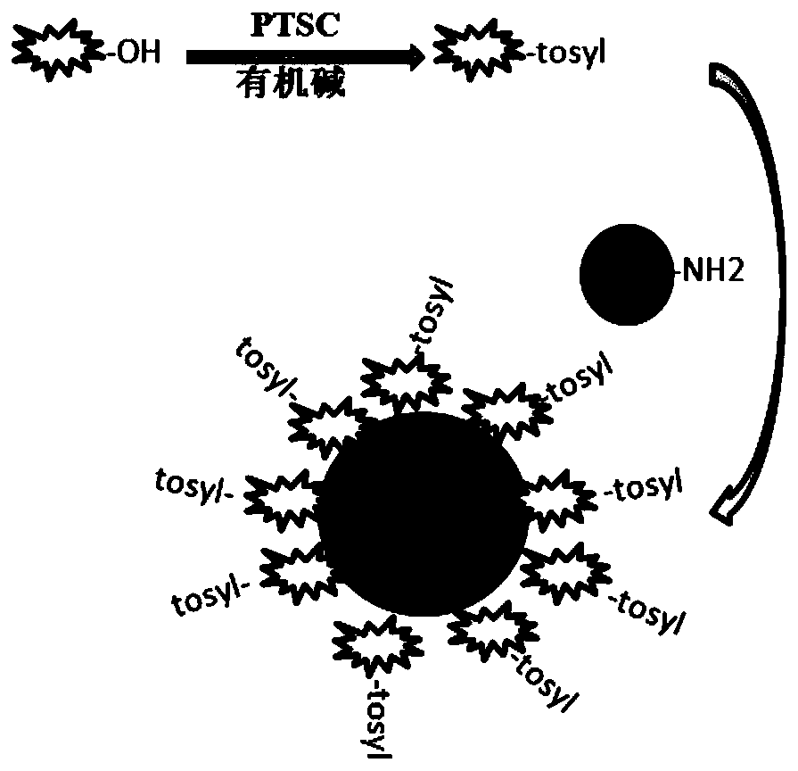 Pre-activated hydrophilic magnetic microsphere and preparation method thereof