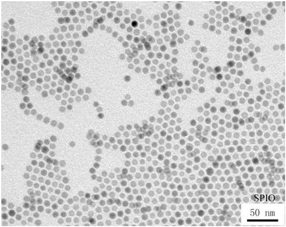 Water soluble microsphere preparation method and application thereof