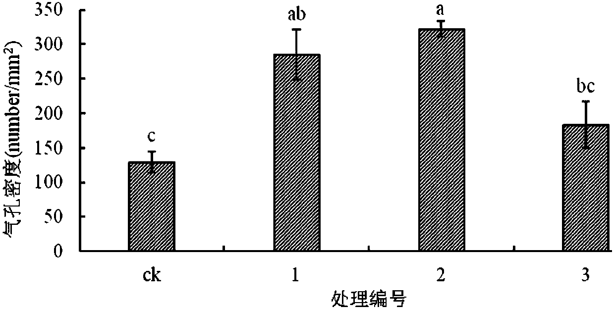 Intelligent method for filling light by using photovoltaic LED lamps in seedling cultivation of vegetables