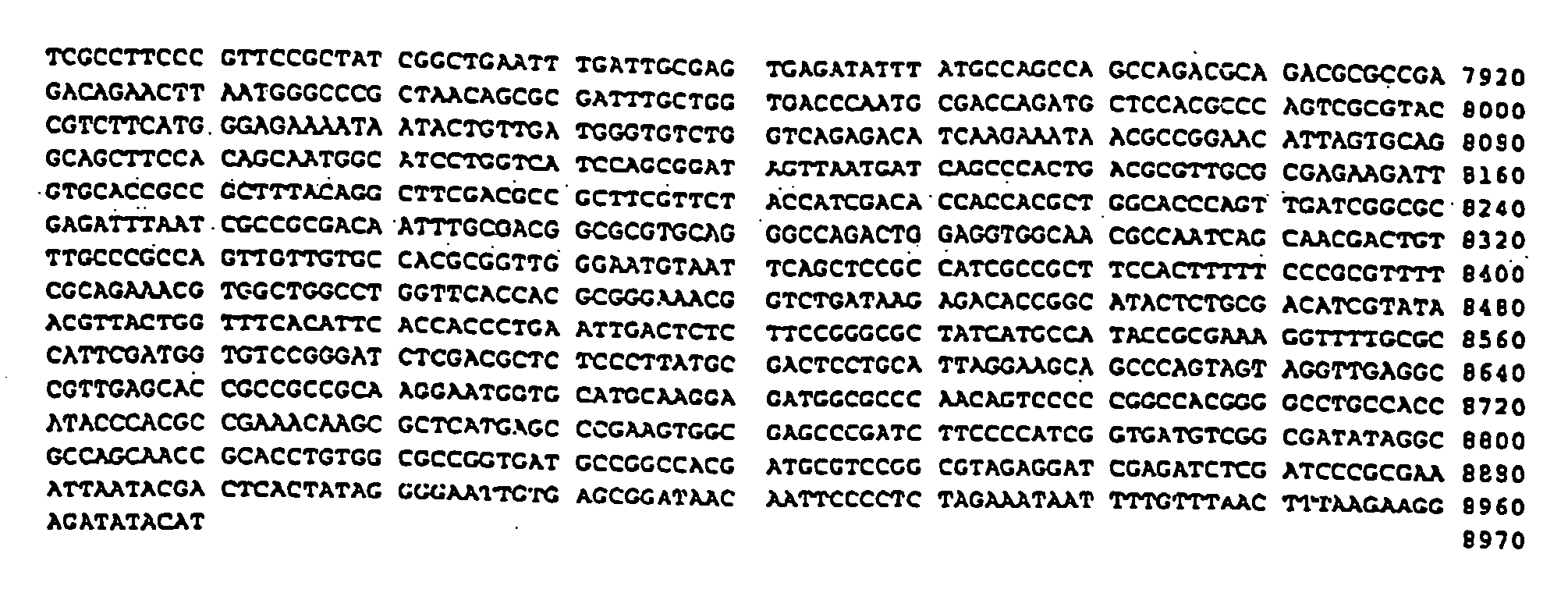 Isothermal amplification of DNA