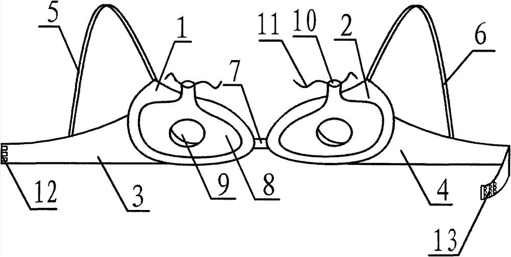 Medicinal brassiere for dredging lactiferous ducts