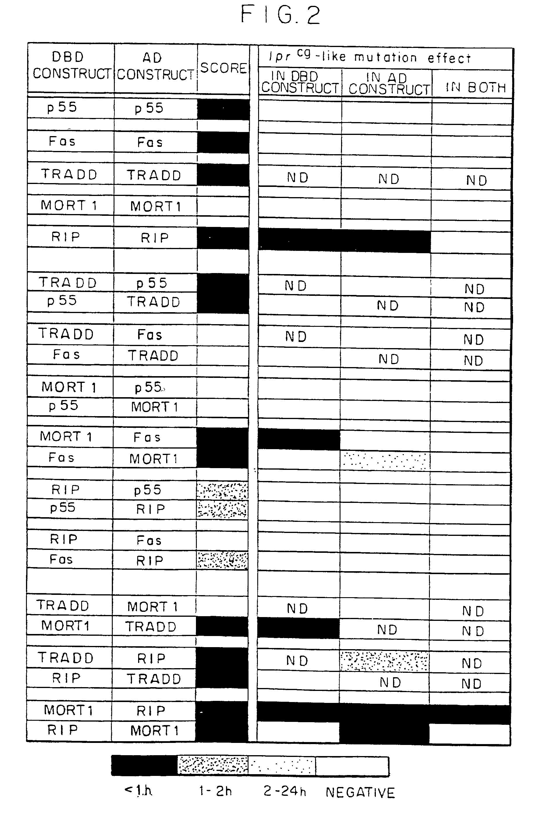 Modulators of regulatory proteins