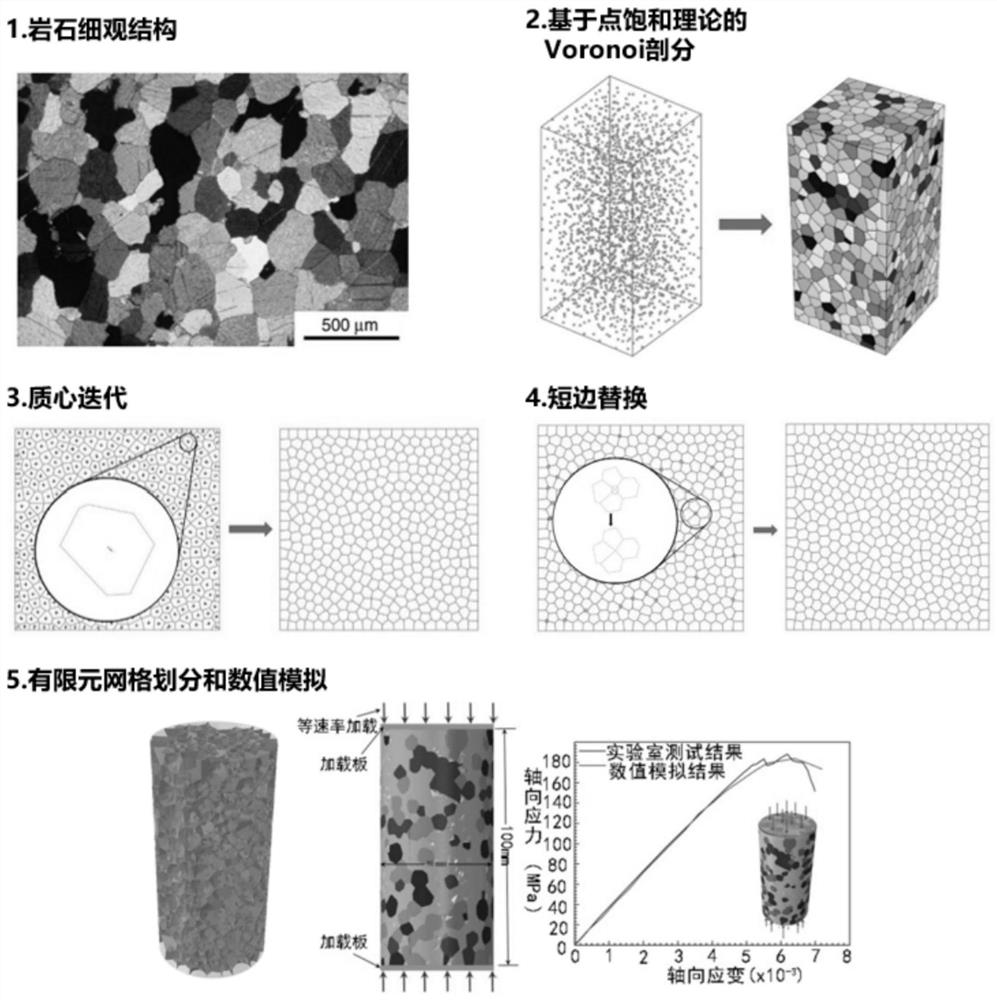 Rock mesoscopic numerical model generation method and system capable of avoiding malformation calculation unit