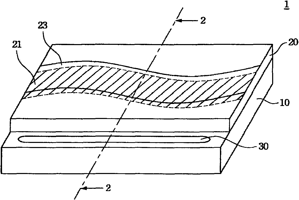 Electronic device with luminous grain shell