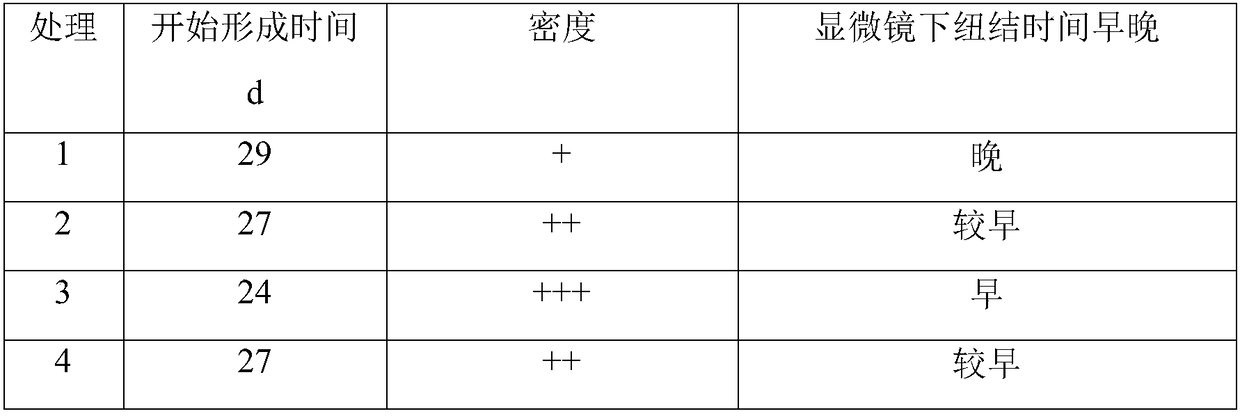 Method for preparing microbial fertilizer promoting morchella growth by spent mushroom compost of lentinus edodes and application