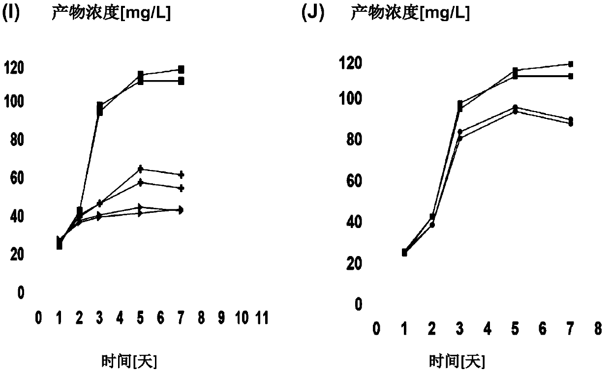 Cell culture medium