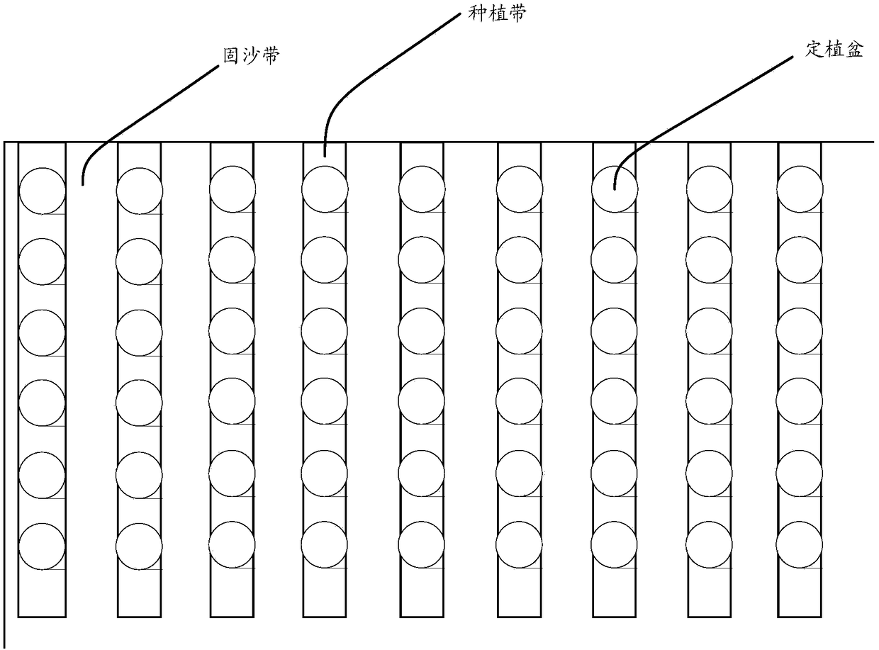 Desert greening method