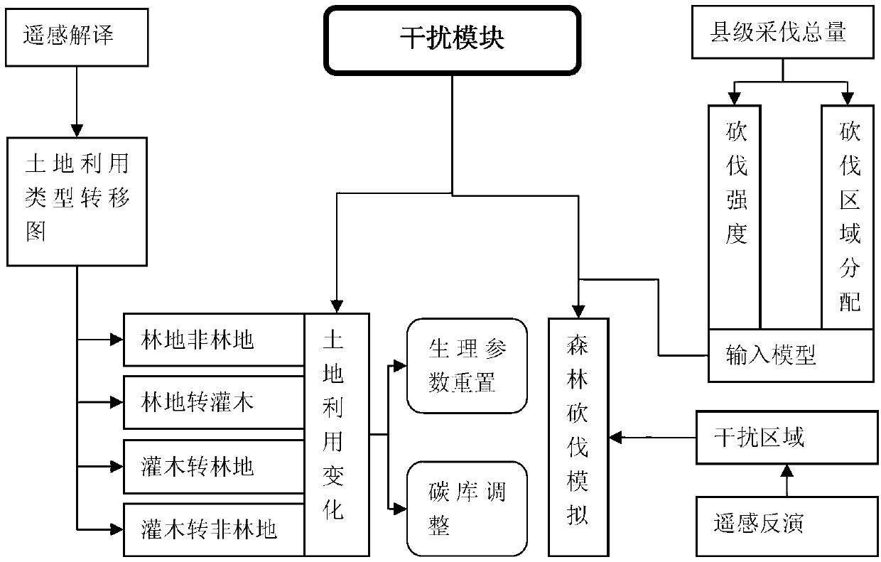 Forestry carbon accounting method based on ecological process model