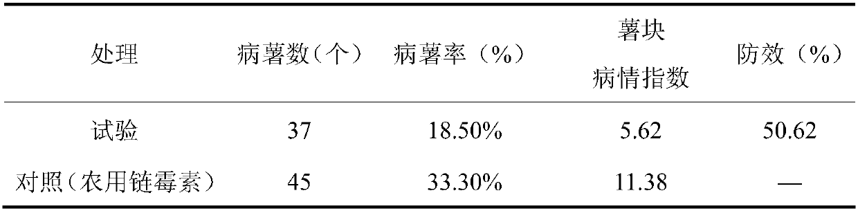 Application of thiamethoxam in preventing and controlling potato scab and methods for preventing and controlling potato scab