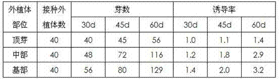 Seedling breeding and rapid propagation cultivation method for traditional Chinese herbal medicine anoectochilus formosanus