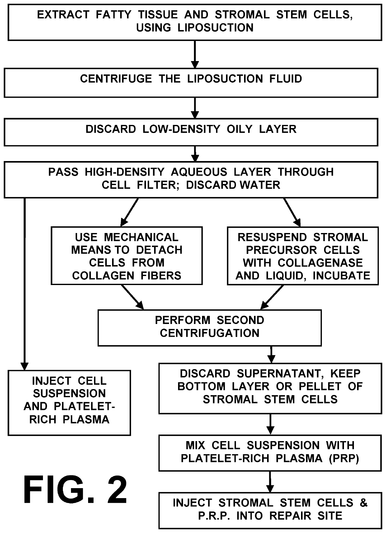 Methods and devices for harvesting and processing connective tissue precursor cells from autologous fat