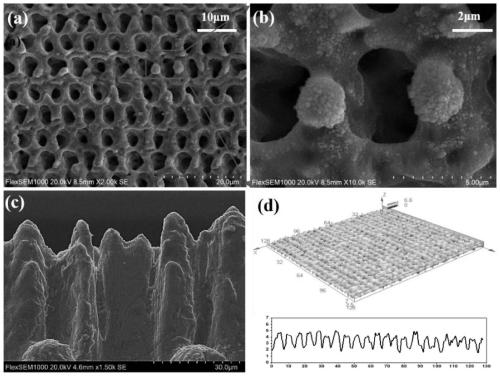 Titanium-nickel alloy material with high blood compatibility and preparation method thereof