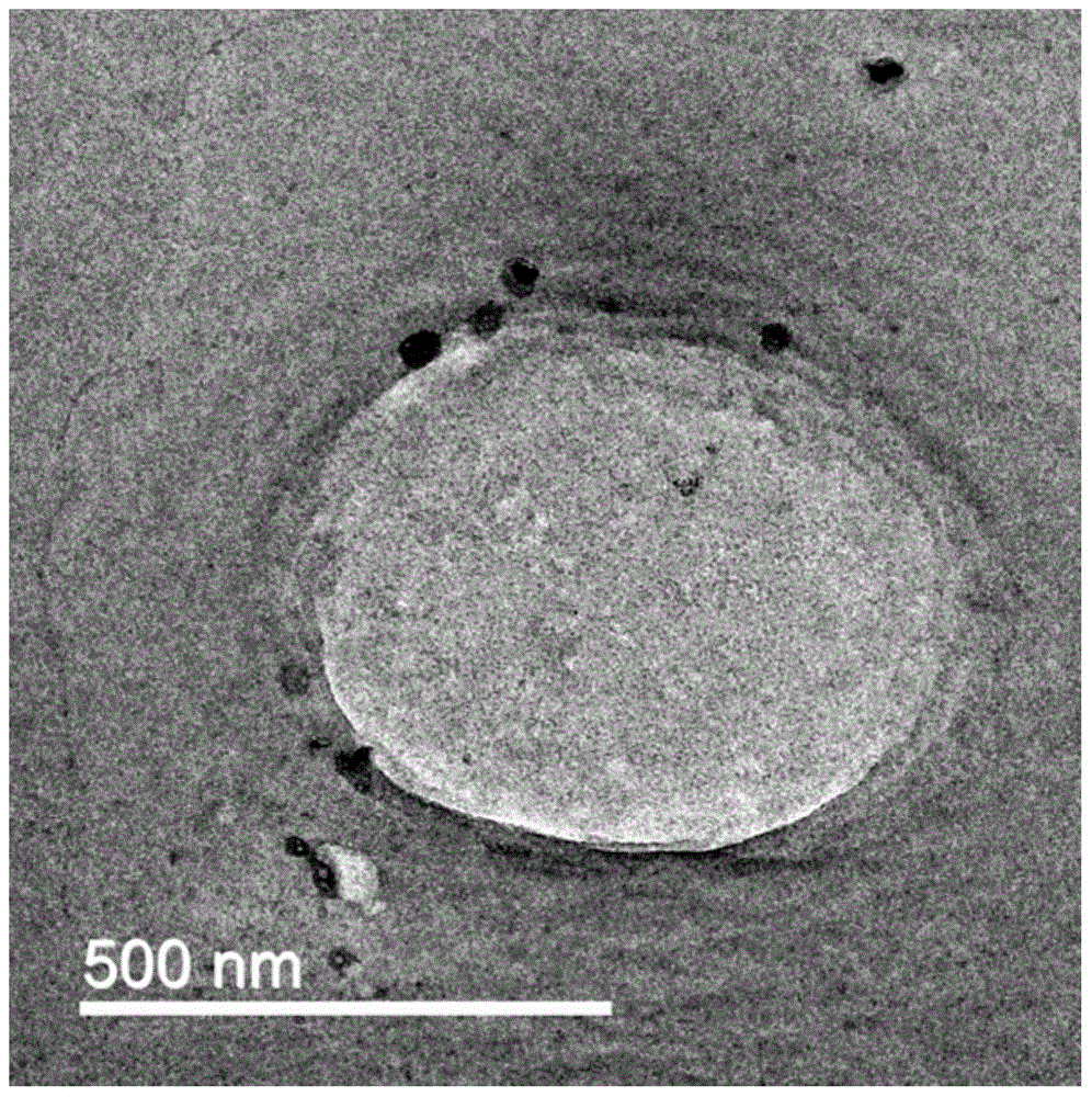 A kind of preparation method of graphene nanosphere