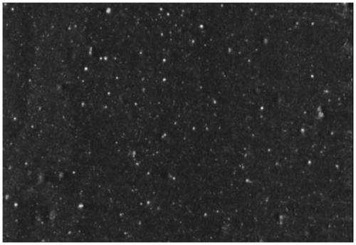 Preparation method of in-situ graft modification rubber