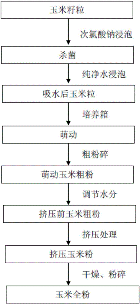 Whole corn powder and preparation method thereof