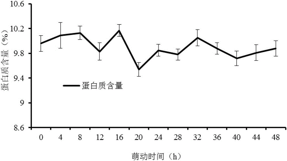 Whole corn powder and preparation method thereof