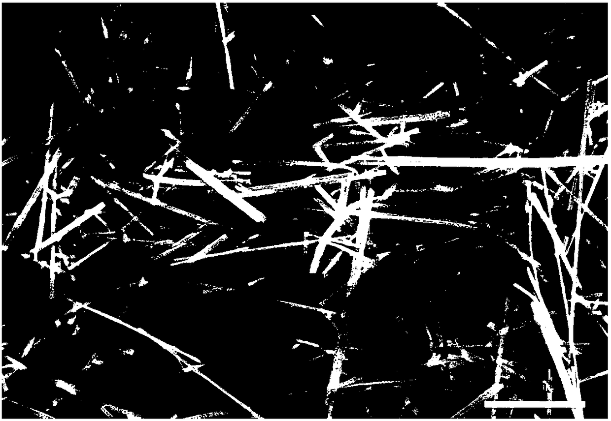 Preparation method of molybdenum oxide nanofiber paper containing pd quantum dot modification