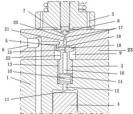 Novel common-rail oil injector