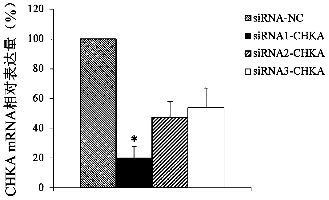 Application of chka gene in preparation of products for diagnosis and treatment of esophageal cancer