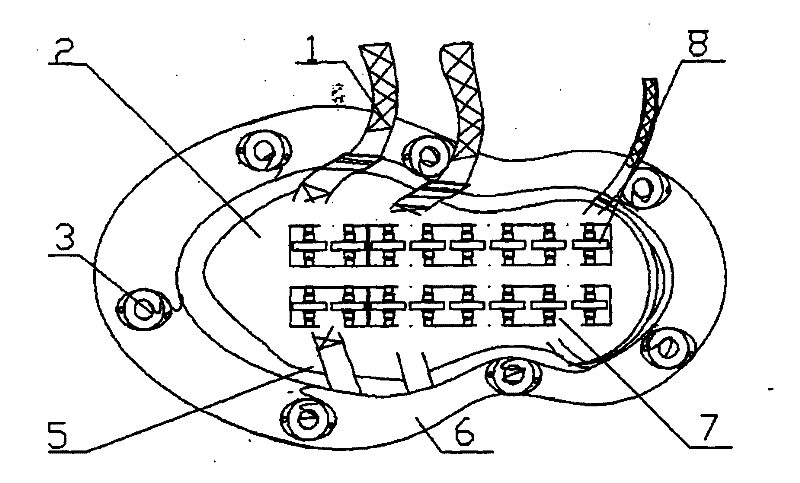 External-tying universal type roller-skating elastic device