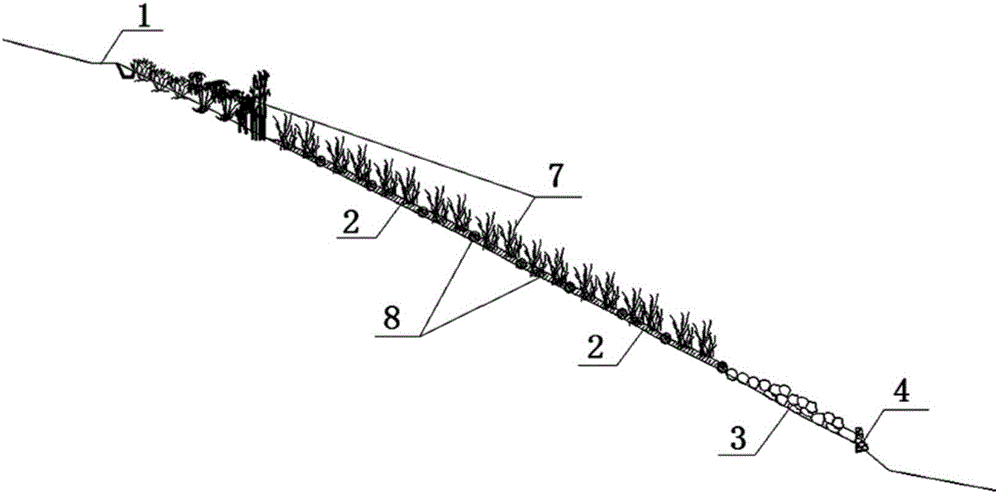 Ecological restoration structural system and restoration method for lakeside zone