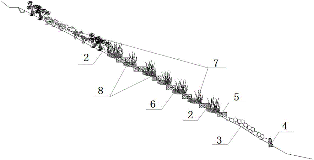 Ecological restoration structural system and restoration method for lakeside zone