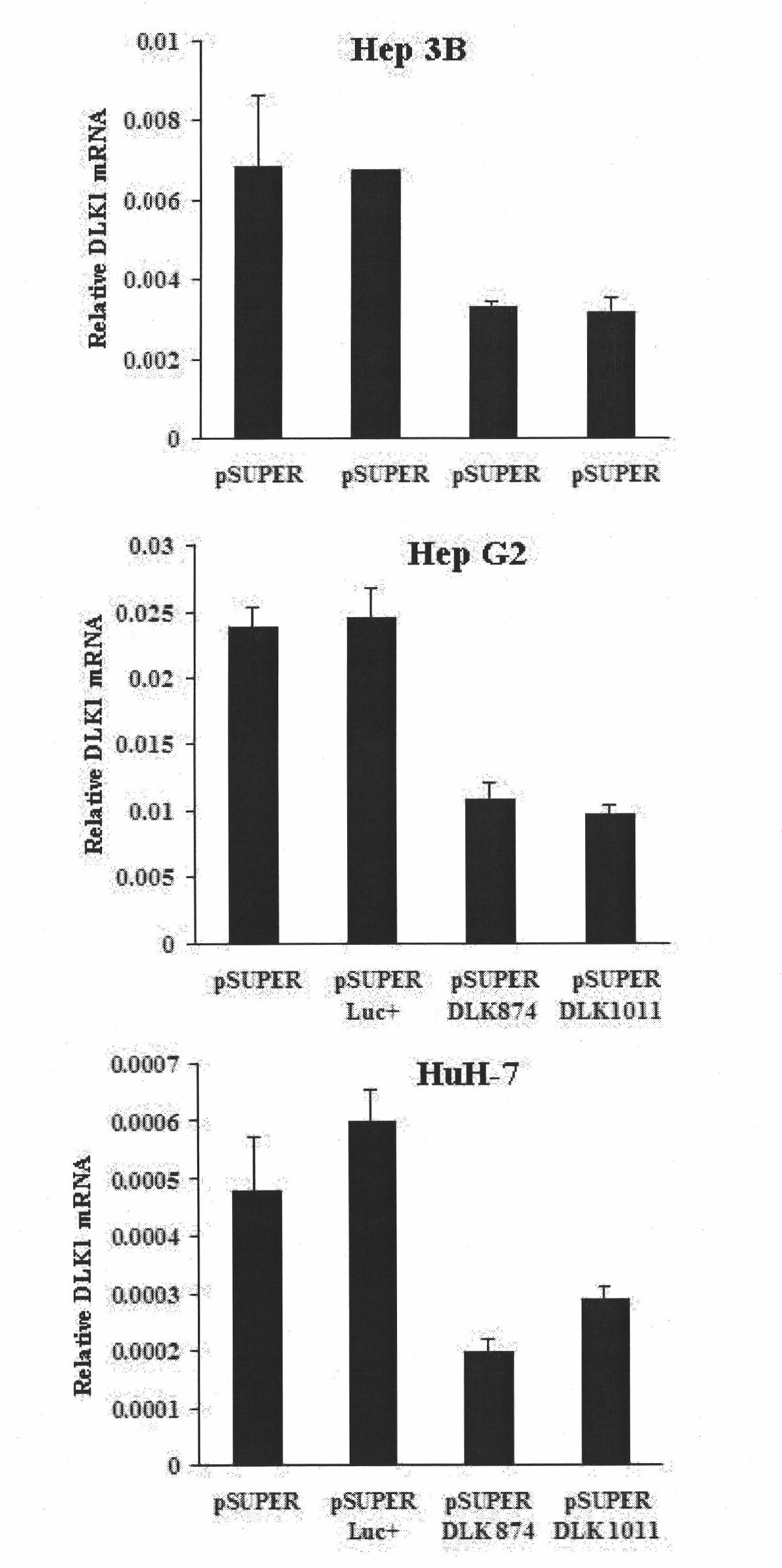 Ribonucleic acid taking liver cancer related gene DLK1 as target spot and application thereof