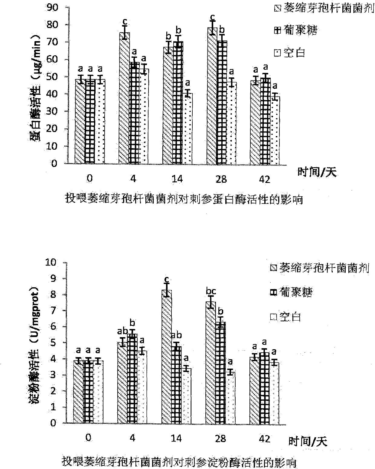 Bacillus atrophaeus, and preparation and application of bacillus atrophaeus