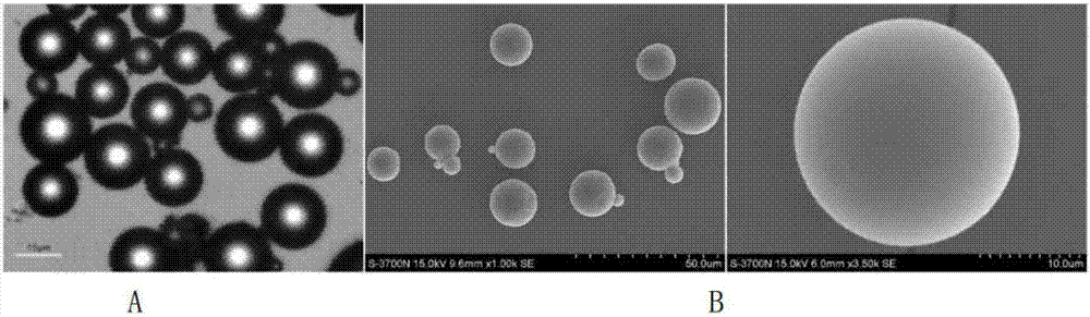 Gelatin sustained release microsphere loaded with growth factors and preparation method thereof