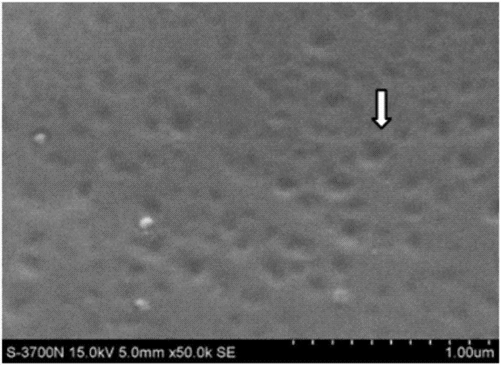 Gelatin sustained release microsphere loaded with growth factors and preparation method thereof