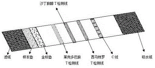 Ractopamine, salbutamol, cimaterol triple colloidal gold test strip and preparation method and use thereof