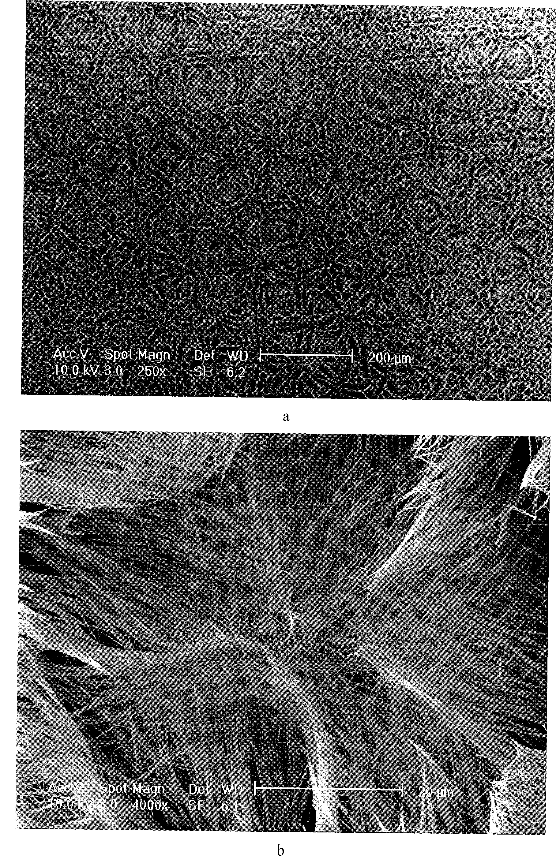 Preparation of zinc oxide nano-wire array