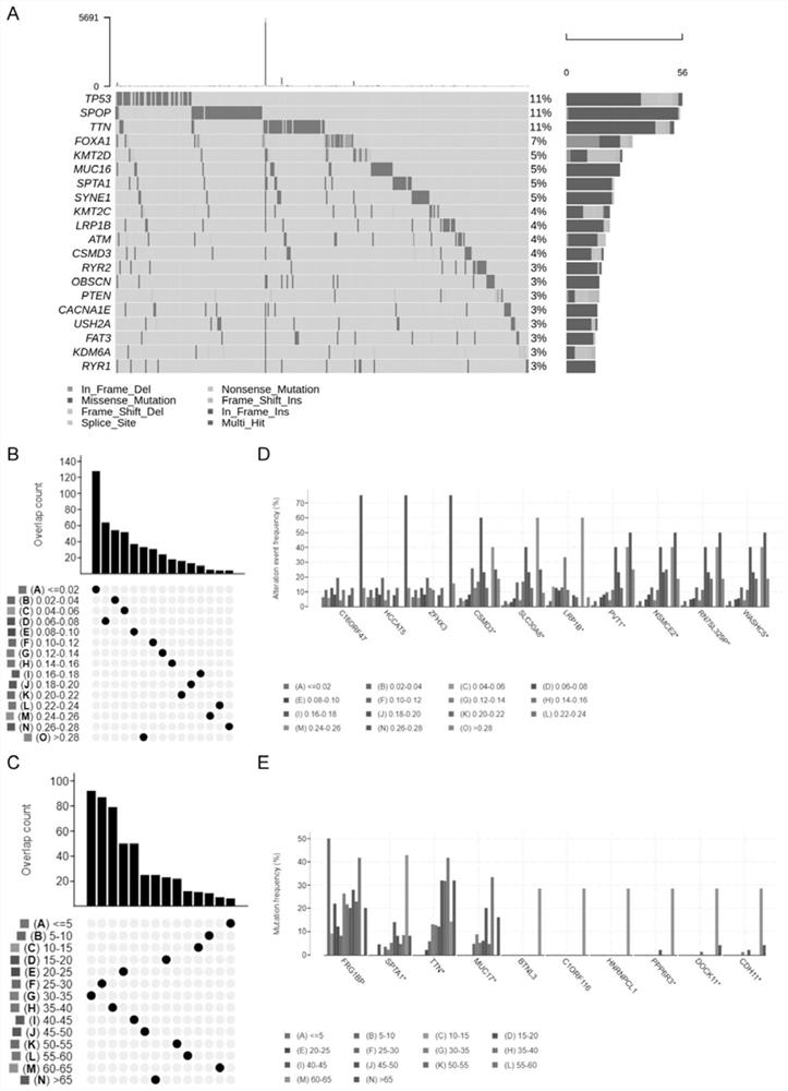 Potential antigen significantly related to prostate cancer, immune subtype, construction method and application thereof