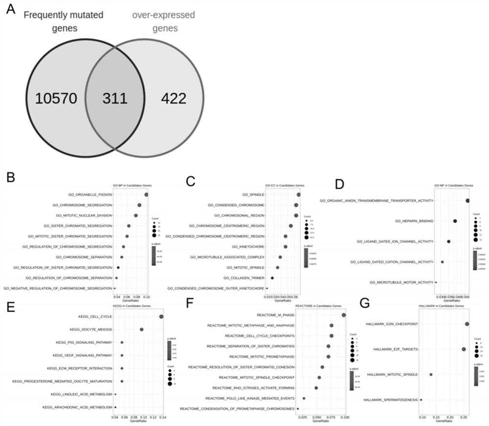 Potential antigen significantly related to prostate cancer, immune subtype, construction method and application thereof