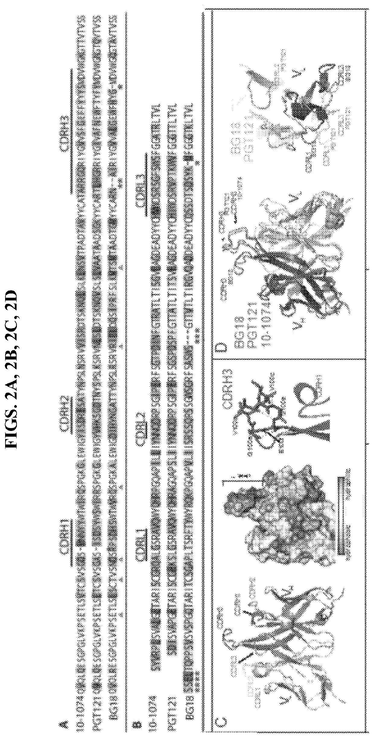 Broadly neutralizing Anti-hiv-1 antibodies and methods of use thereof