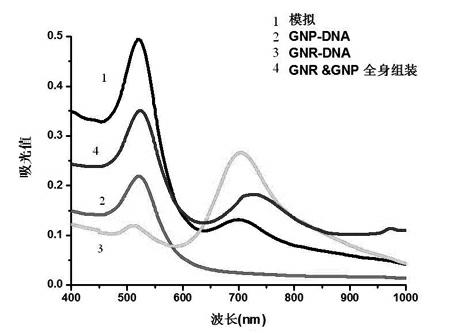 Preparation method of self-assembly material having surface-enhanced Raman activity