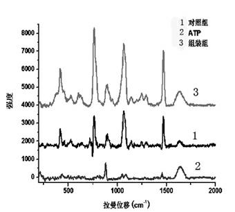 Preparation method of self-assembly material having surface-enhanced Raman activity