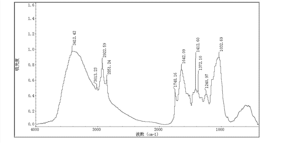 Method for detecting plasmodiophora brassicae in Chinese cabbages