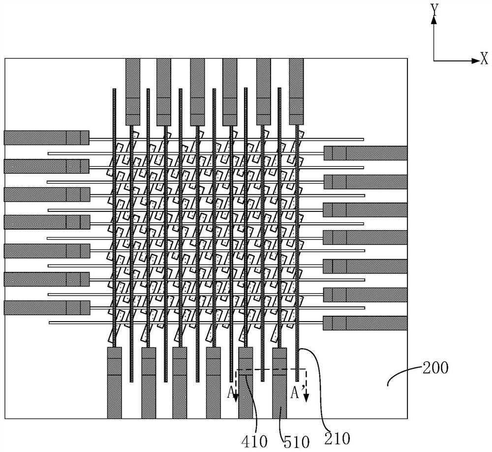 Bit line leading-out structure and preparation method thereof