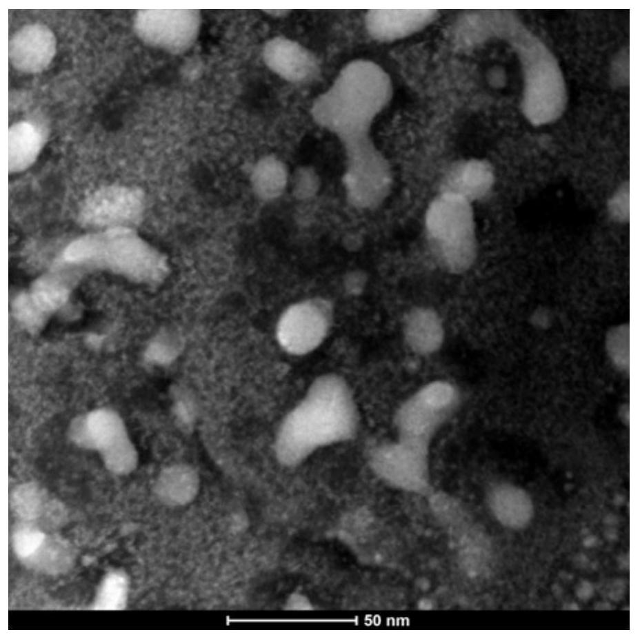 High-transparency microcrystalline glass containing scintillation nanocrystals and preparation method thereof