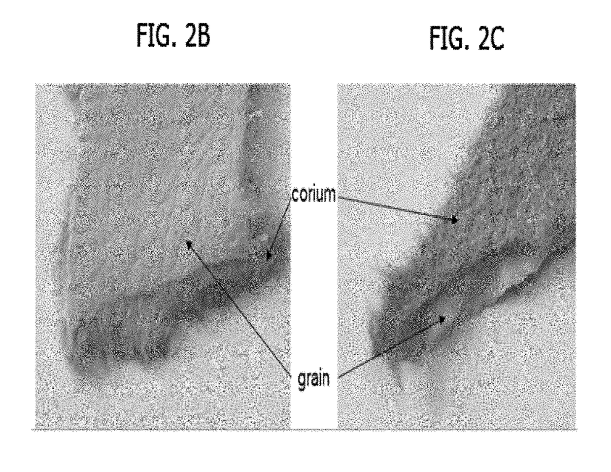 Method for making a biofabricated material containing collagen fibrils