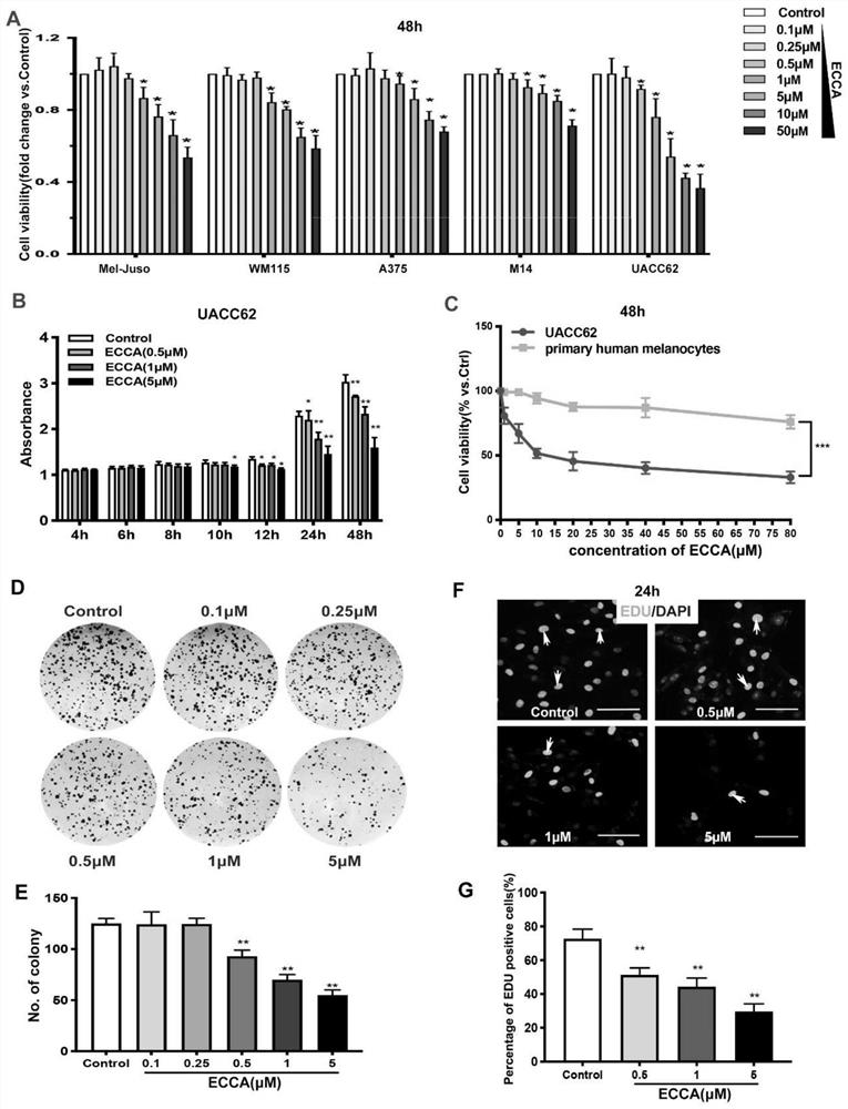 Application of ECCA in preparation of anti-tumor drugs